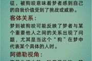 做梦梦到狗咬是什么意思_梦见狗咬自己怎么办
