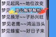 梦到周公是什么意思_周公解梦准吗