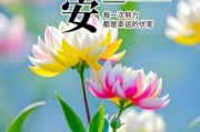 早安问候语图片大全_如何挑选适合朋友圈的配图