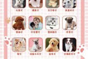 宠物图片大全_如何挑选高清萌宠图