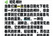 梦到柳树是什么意思_柳树梦境解析