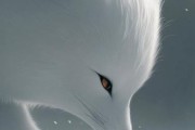 白狐图片唯美图片大全_如何挑选高清壁纸