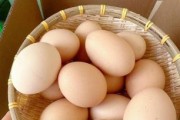 鸡蛋图片大全大图_鸡蛋高清图哪里找