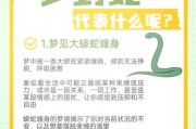 梦到家里有蛇是什么预兆_家里进蛇风水化解