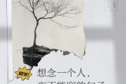 想念图片大全_如何挑选最打动人心的图片