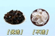 木耳图片大全_如何挑选优质黑木耳