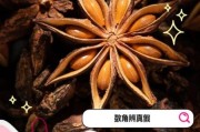 八角图片大全_如何辨别真假八角