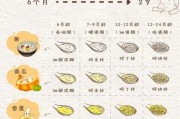 一岁两个月宝宝辅食食谱大全_辅食添加顺序