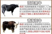 牛的图片大全集_如何挑选高清牛图