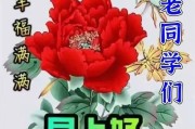 老同学早上好图片大全_如何挑选不踩雷