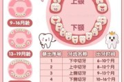 宝宝牙齿多久长齐_乳牙全部萌出时间表