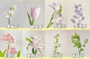 百花图片大全_如何挑选高清花卉图