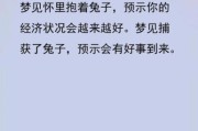 梦到白兔子是什么意思_白兔梦境预示什么