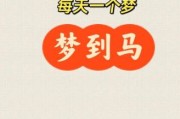 梦到大马是什么意思_梦见大马预示着什么