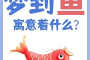 梦到钓到鱼是什么意思_周公解梦准吗