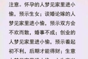 梦到小偷进家里_周公解梦与心理暗示