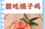 一岁宝宝可以吃桃子吗_桃子过敏怎么办