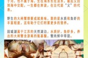 怀孕梦到螃蟹是什么意思_孕妇梦见螃蟹生男生女