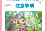 树莓宝宝能吃吗_婴儿多大可以吃树莓
