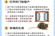 梦到家里进老鼠_是什么预兆