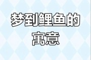 梦到鱼是什么意思_梦见鱼代表什么