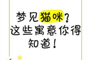 梦到一只白猫是什么意思_白猫入梦预示什么