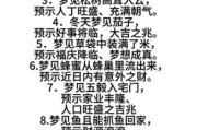 梦到出国旅游是什么意思_周公解梦准吗