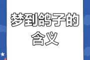 梦到鸽子是什么意思_鸽子在梦里象征什么