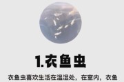 家中常见虫子图片大全_如何快速识别