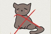 画猫的图片大全_如何画出逼真的猫咪