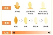糙米图片大全_糙米和精米区别