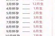 怀孕几个月宝宝出生_预产期怎么算