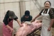 杀猪图片大全大图_高清流程图解
