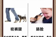 梦到被狗咬屁股是什么意思_被狗咬屁股梦境解析