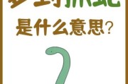 梦到蛇是什么征兆_梦见蛇代表什么
