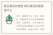 梦到黄花是什么意思_梦见黄花预示什么