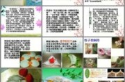 梦到生饺子是什么意思_生饺子梦境解析