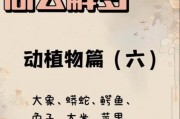 孕妇梦到动物是什么意思_孕妇梦见动物生男生女
