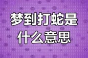 梦到两条蛇是什么意思_梦见两条蛇预示什么