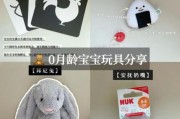 刚出生的宝宝玩具怎么选_新生儿玩具安全标准