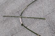 梦到弓箭是什么意思_如何化解梦中弓箭的焦虑