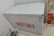 冰柜图片大全_家用冰柜怎么选