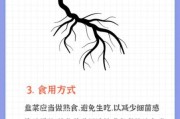 两岁宝宝能吃韭菜吗_韭菜辅食做法