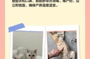 梦到猫生小猫是什么意思_梦见猫生小猫预示什么