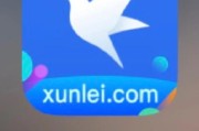 全集迅雷下载安全吗_全集迅雷下载怎么找资源