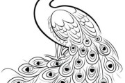 孔雀画画美术图片大全_如何画孔雀羽毛细节