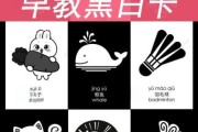 婴儿黑白图片大全_黑白卡什么时候用