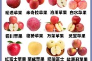 苹果图片大全_苹果品种图片怎么区分