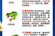 蛙类大全图片及名称_如何快速识别常见蛙种