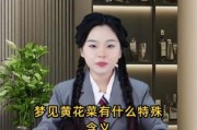 梦到菜是什么意思_梦见蔬菜吉凶解析